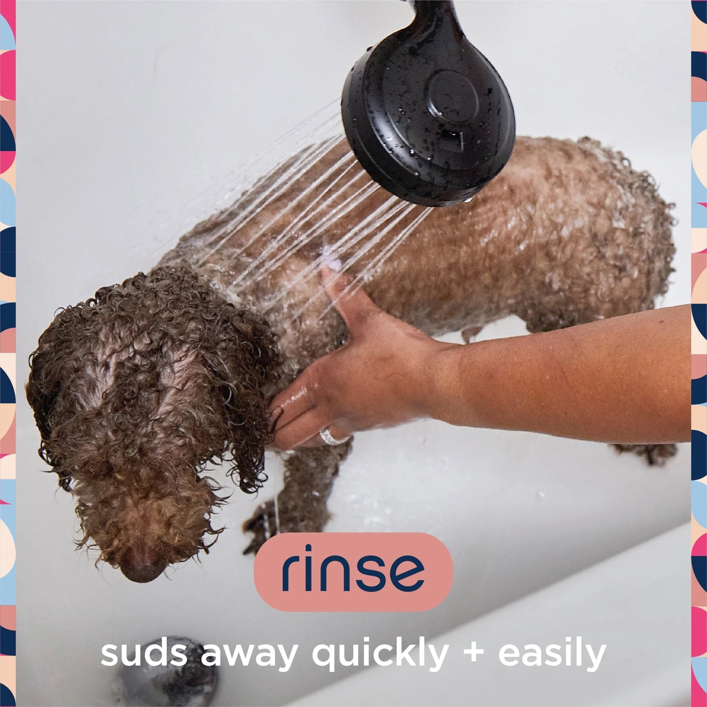 Anti-Itch Dog Shampoo with Two-Way Spray, Honey Oat Blossom, 16Oz